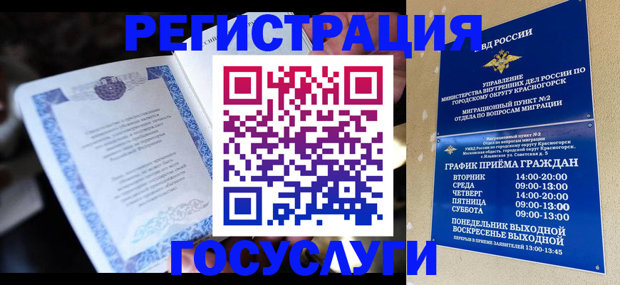 прописка законно в Сольцах